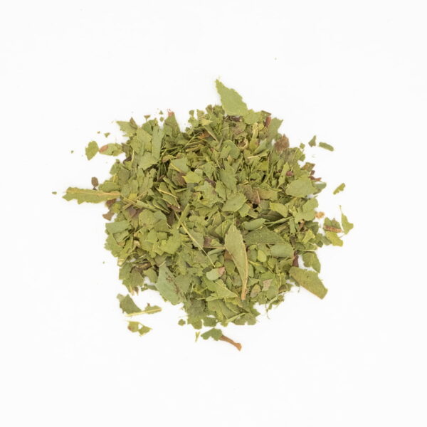 Peppermint Gum